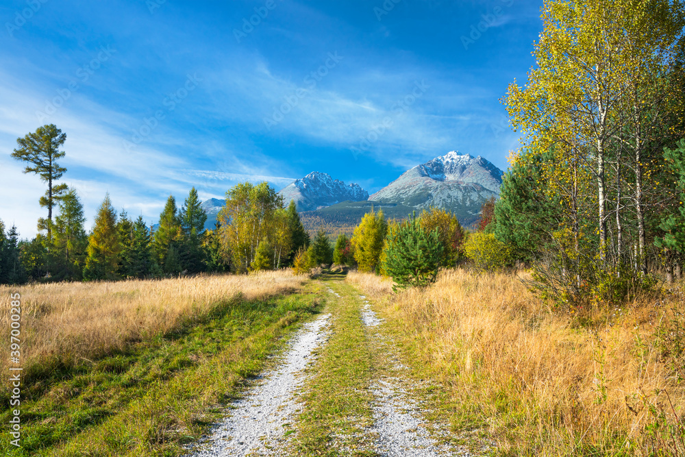 nature, created by nature, view, sky, purity, untouched, pure, sunny, without humans, earth, innocence, flora, plants, planet earth, travel, realx, peace, rest, tranquility, vacation, freedom, space,