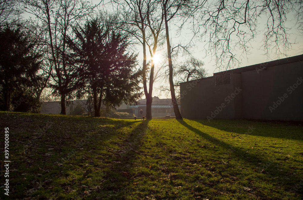 Obraz premium landscape