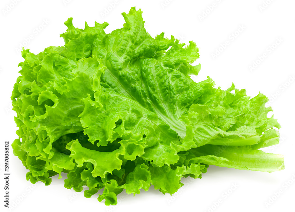 one salad leaf isolated on a white background. full depth of field. clipping path one salad leaf isolated on a white background. full depth of field. clipping path