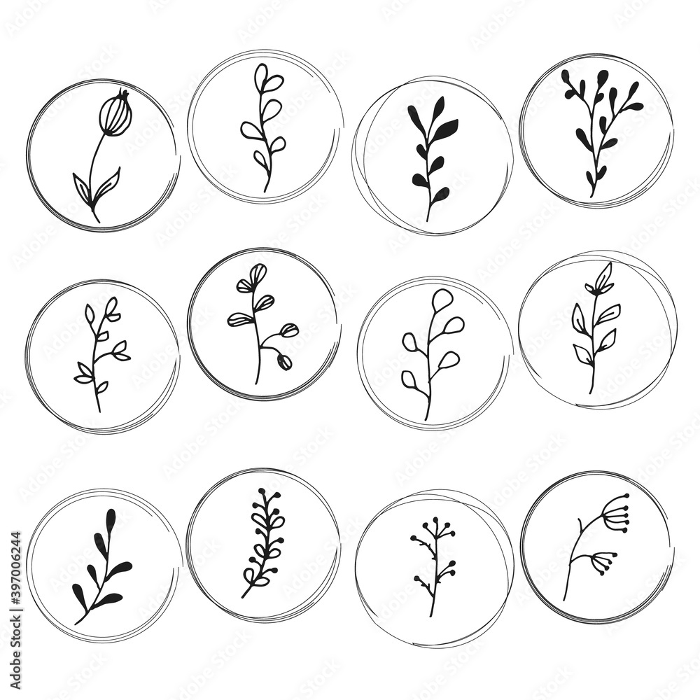 Vector hand drawn floral icons in scribbled circles. Vector elegant floral decorations set.