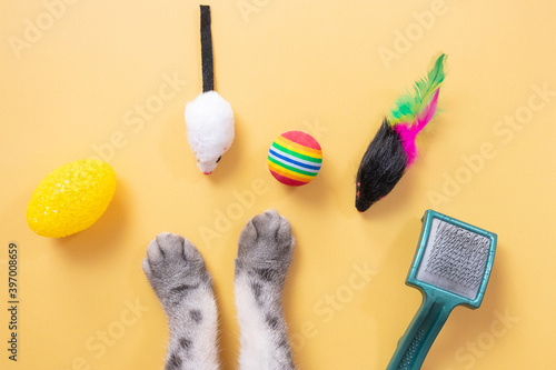 Gray cat paws and accessories for pets: ball, mice, comb. Yellow background, copy space, top view. Pet supplies concept.