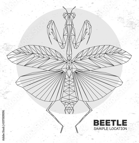 Abstract polygonal triangle praying mantis. Artistic Bug. Entomological vector illustration