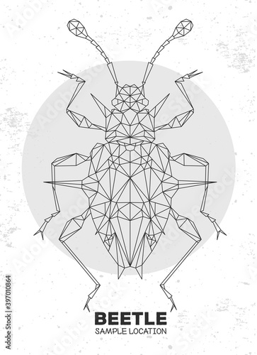 Abstract polygonal triangle Endomychidae beetle. Artistic Bug. Entomological vector illustration photo