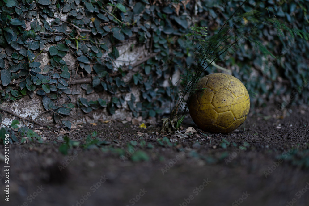 Fototapeta premium Balón Amarillo