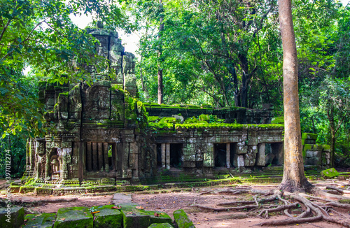 Ta Prohm temple in Angkor Cambodia Asia