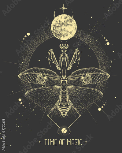 Modern magic witchcraft card with moon and praying mantis. Hand drawing occult vector illustration