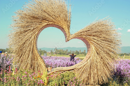 Heart scene made of bamboo in flower field photo