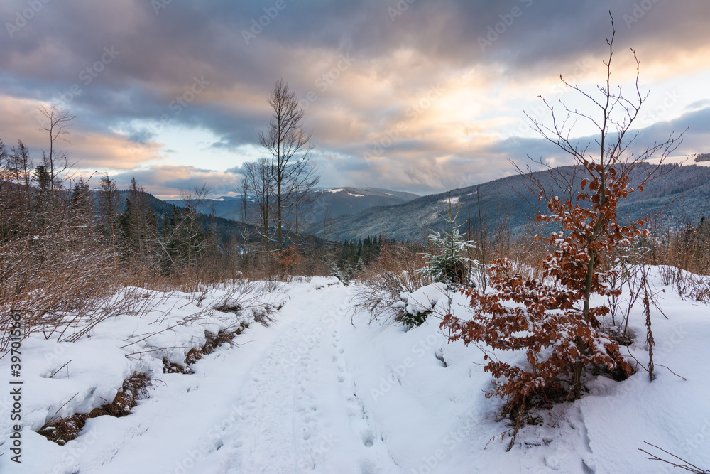 Winter, active vacation in the Carpathians with picturesque houses and lots of snow. Winter, active vacation in the Carpathians with picturesque houses and lots of snow.