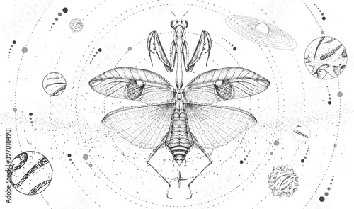 Modern magic witchcraft card with solar system and praying mantis. Hand drawing occult vector illustration