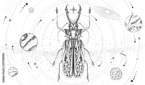 Modern magic witchcraft card with solar system and Sabertooth Longhorn beetle. Hand drawing occult vector illustration
