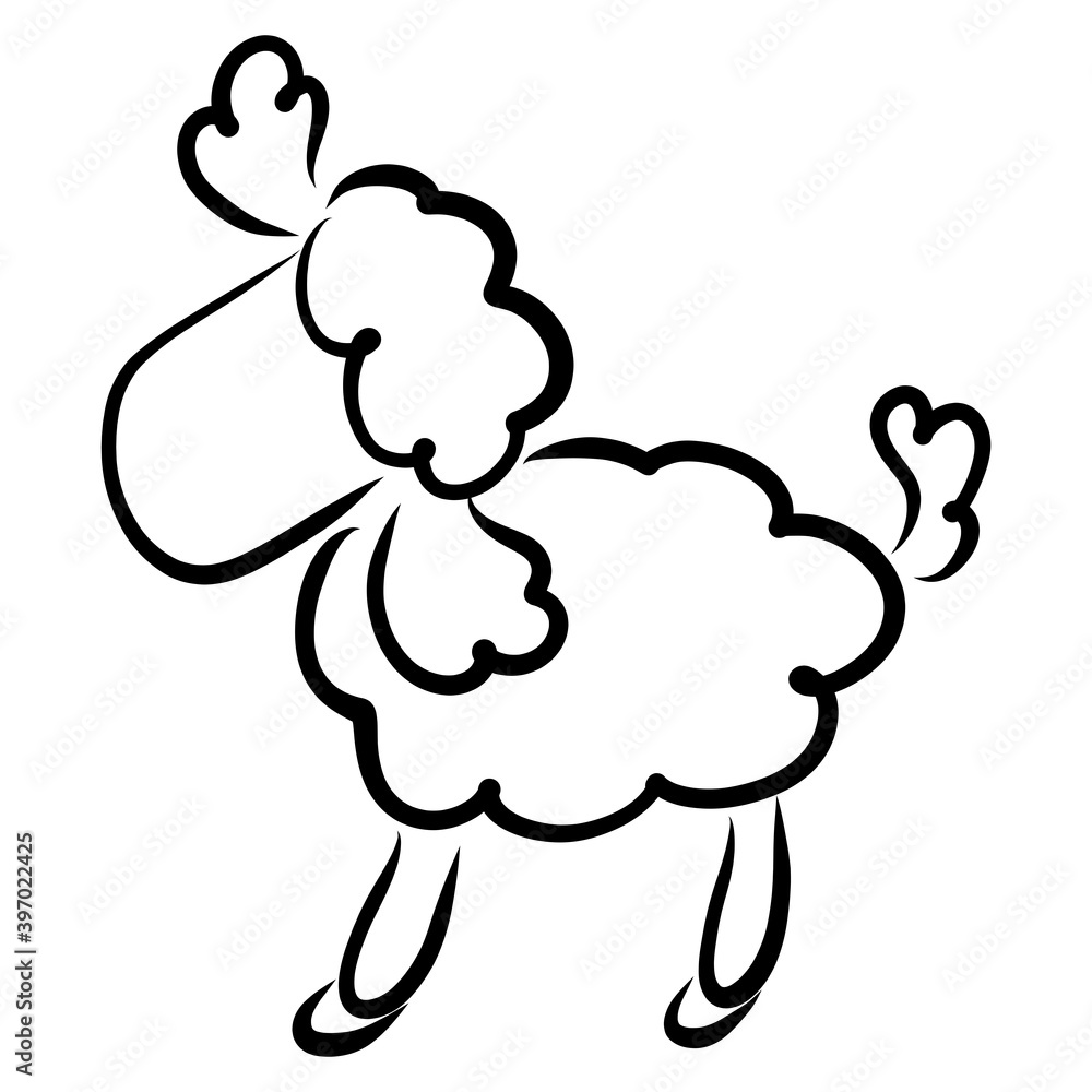 fluffy little lamb stands with its head up fluffy little lamb stands with its head up
