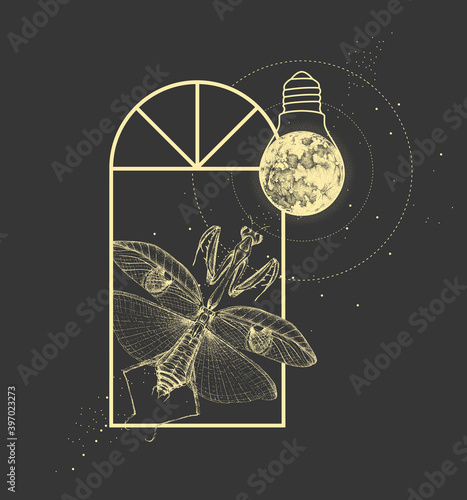 Magic witchcraft window silhouette with praying mantis  and full moon like light bulb. Vector illustration