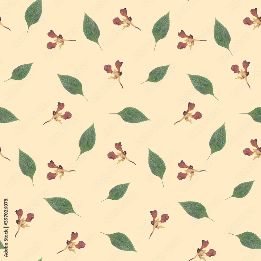 Seamless floral pattern of scanned dried flowers and leaves, randomly arranged  on a beige background.