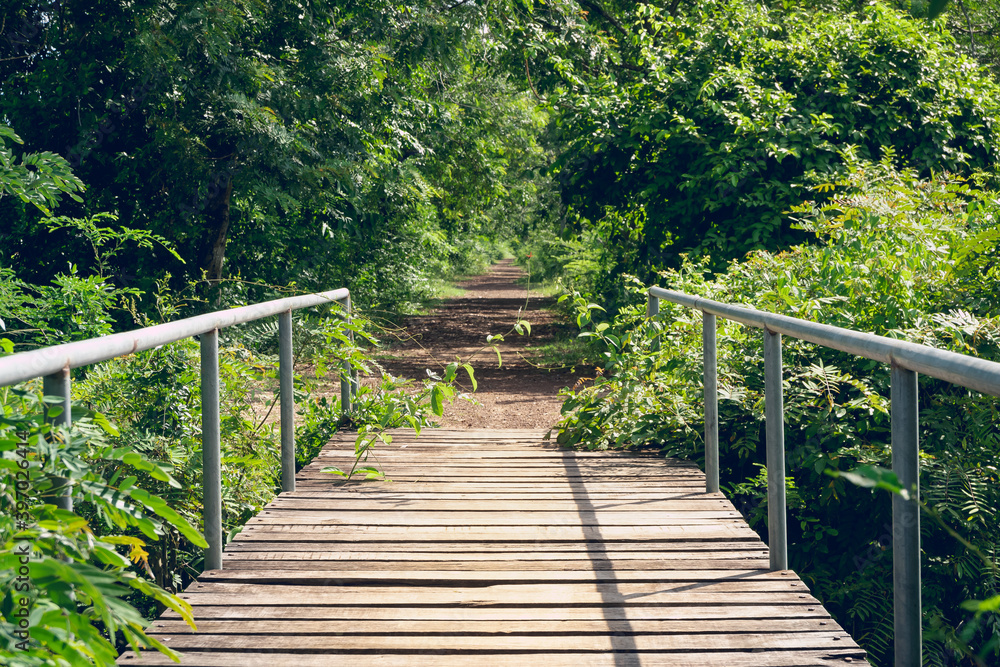 Perspective view of wooden and steel bridge connecting dirt road among the trees. Perspective view of wooden and steel bridge connecting dirt road among the trees.
