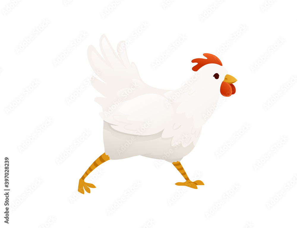 Cute white chiken farm agriculture hen rooster cartoon animal design flat vector illustration