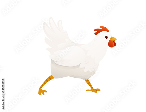 Cute white chiken farm agriculture hen rooster cartoon animal design flat vector illustration