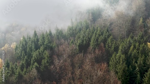 Drone flight through foggy forest over autumn, moody trees and beautiful foggy landscape in Schwarzenburg , Germany photo