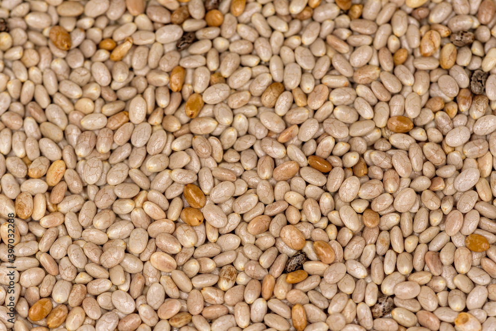 Fototapeta premium Close up of white chia seeds