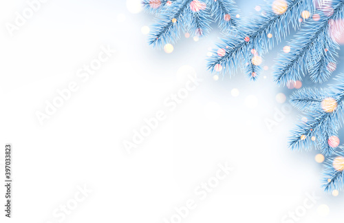 Frozen light blue spruce branches with bokeh lights.