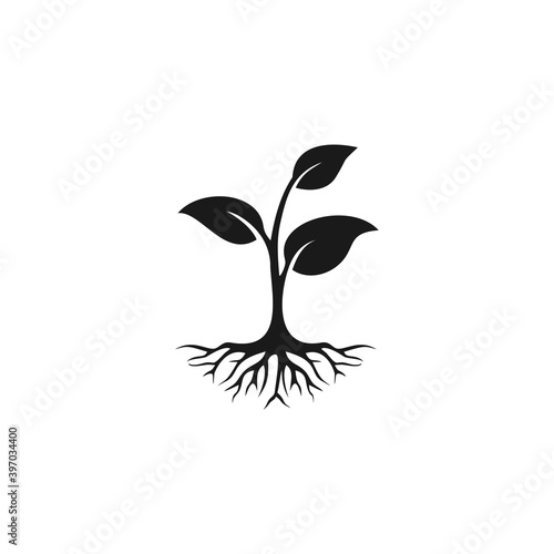 Leaf nature icon, plant growing agriculture logo symbol design illustration