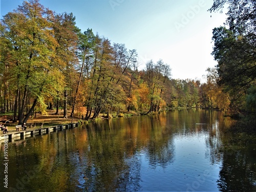 autumn in the park