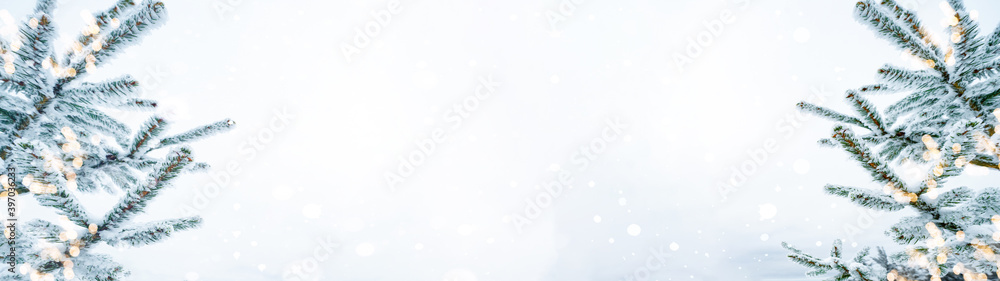  Winter / snow Christmas background banner panorama - Snowy frozen fir branches and bokeh lights with blue gray snowy snowfall sky
