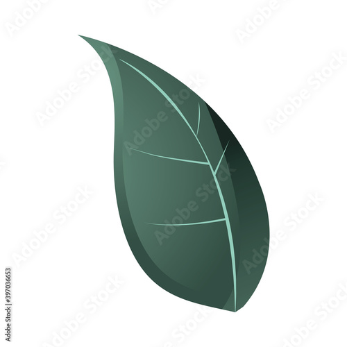leaf nature foliage icon over white background