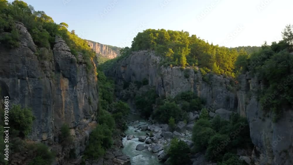 Canyon in the forest and mountains Canyon in the forest and mountains