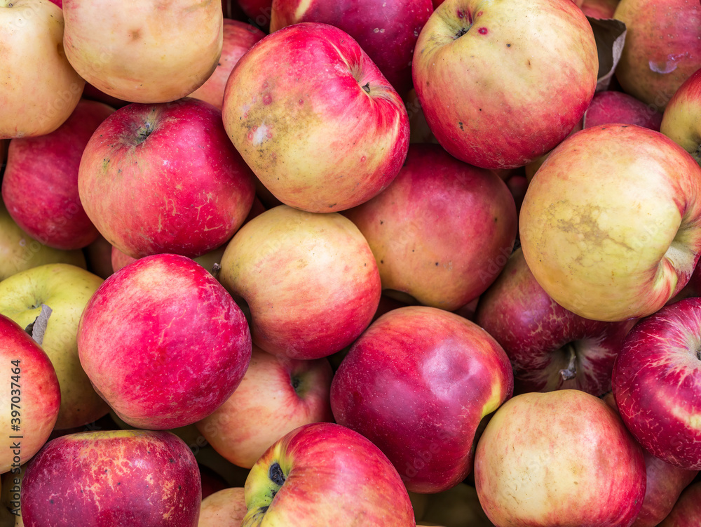 Fresh organic red apples on display at the market. Freshly picked fruits. Fresh organic red apples on display at the market. Freshly picked fruits.