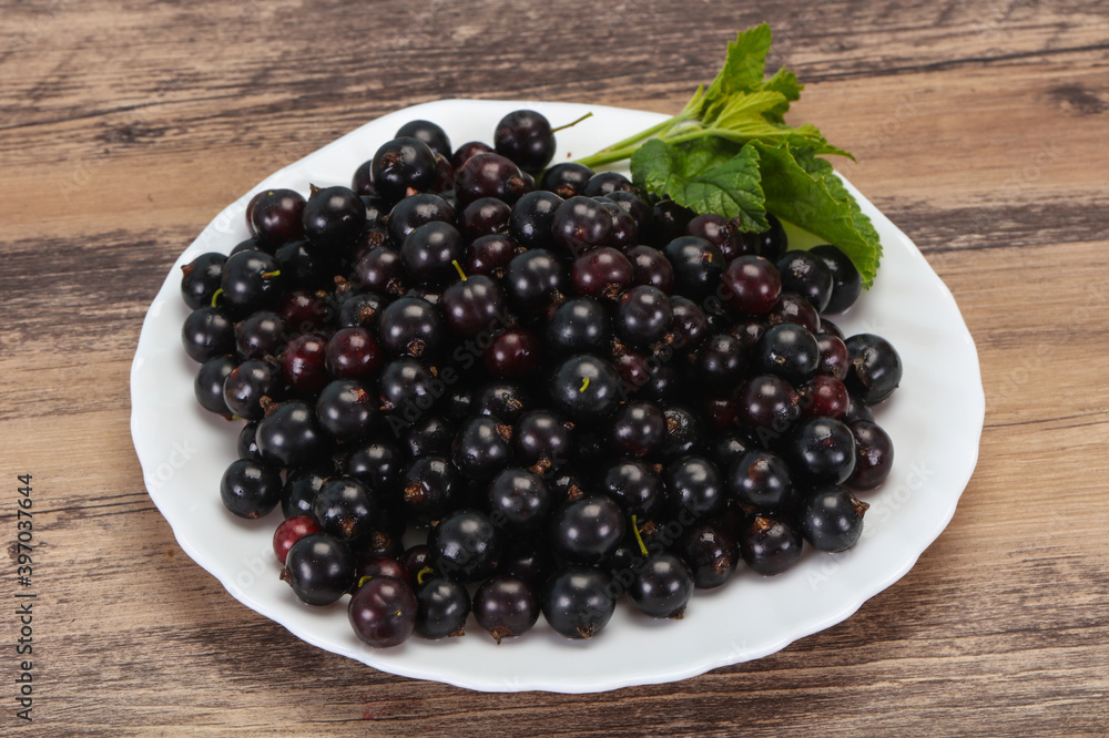 Fresh ripe sweet black currant Fresh ripe sweet black currant