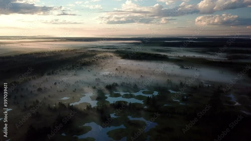 Top View Of Foggy morning, drone flight over the forest and marsh Top View Of Foggy morning, drone flight over the forest and marsh