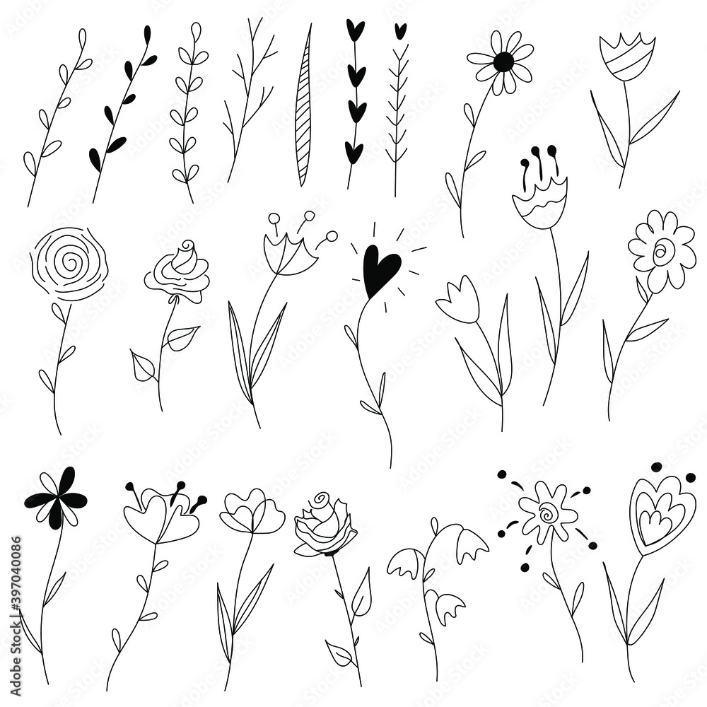 Wild flowers and herbs hand drawn doodle set. Floral decorative elements vector.