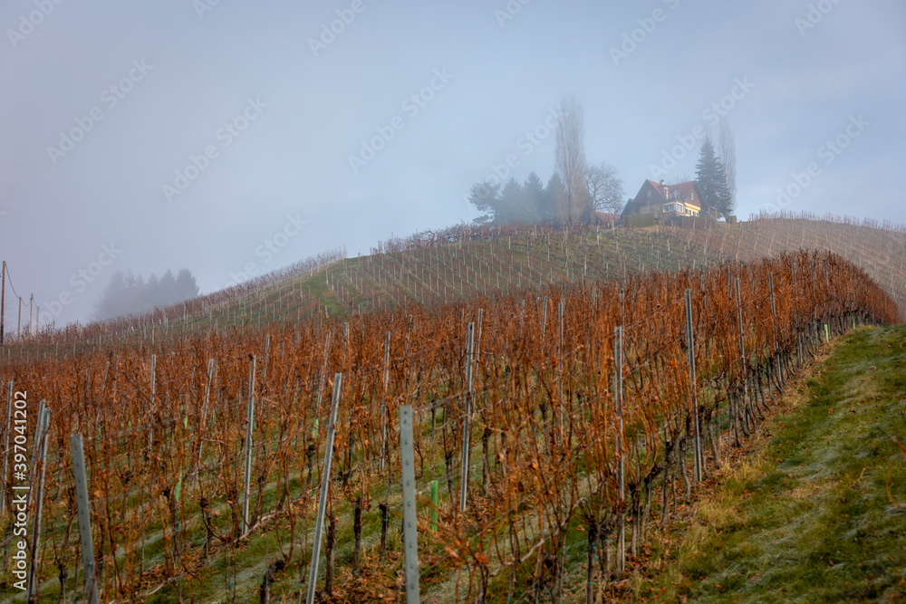 autumn in southern styria, an old wine growing country in austria named südsteirische weinstrasse