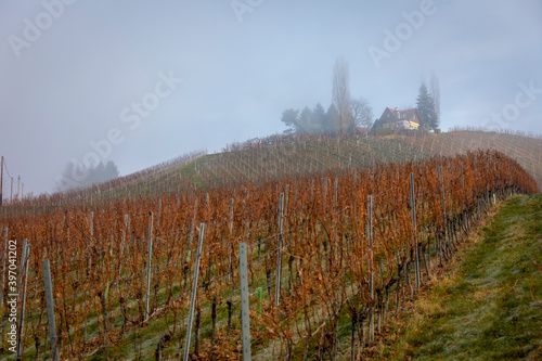 Obraz na płótnie autumn in southern styria, an old wine growing country in austria named südsteirische weinstrasse w salonie