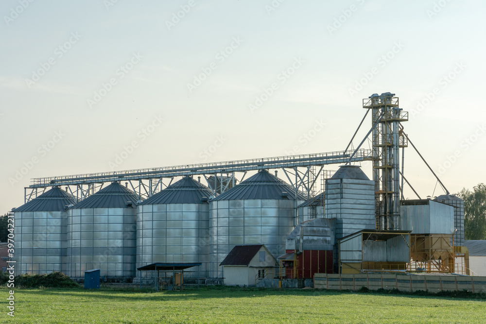 silver silos on agro manufacturing plant for processing drying cleaning and storage of agricultural products, flour, cereals and grain. Large iron barrels of grain. Granary elevator