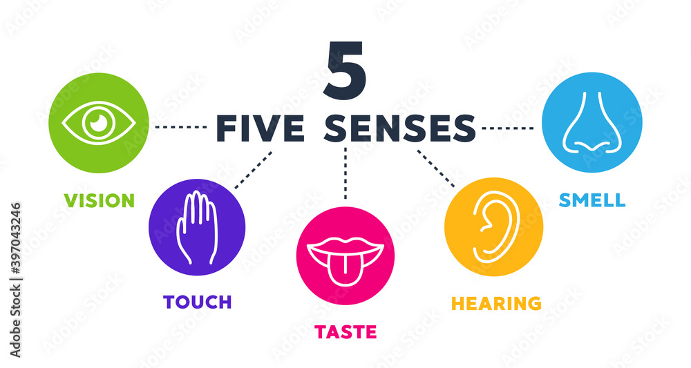 Five senses vector icons set. vision, hearing, touch, taste, smell