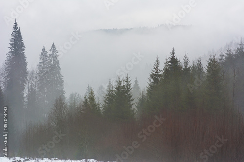 Winter Carpathian mountains in cloudy weather with foggy forests © reme80
