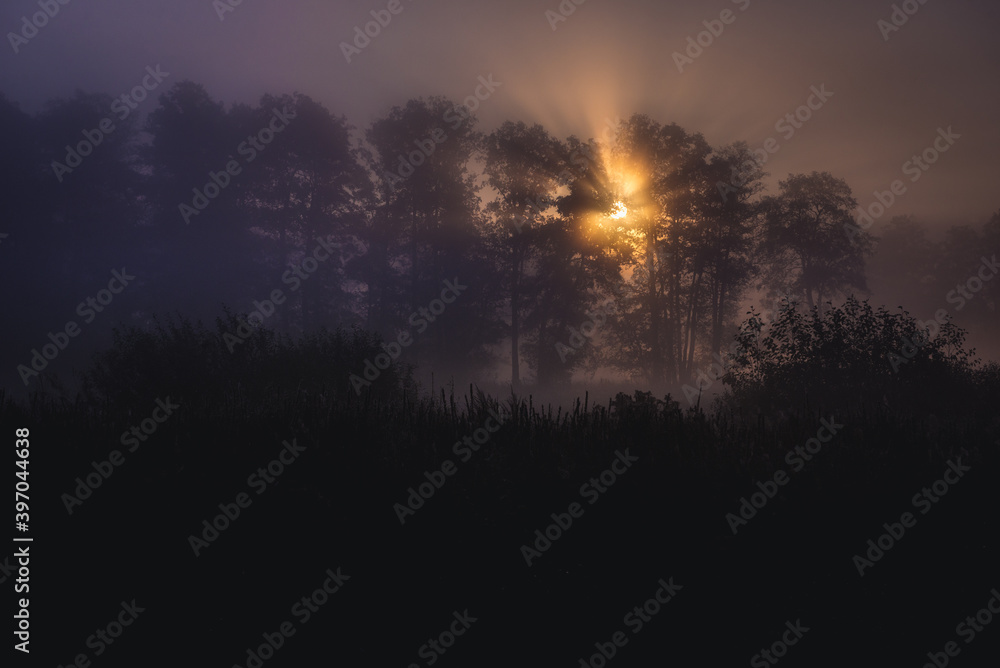 Sunrise in Gorki village in Kampinos Forest, Masovia region of Poland