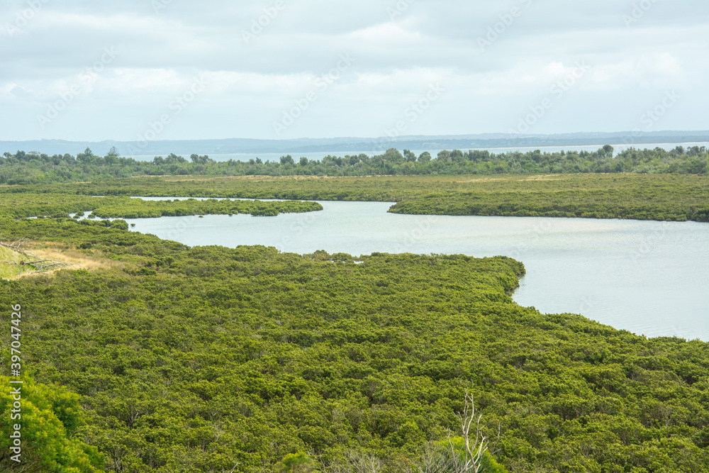 The view of the Rhyll Inlet wetlands and mangroves on Phillip Island, Victoria, Australia The view of the Rhyll Inlet wetlands and mangroves on Phillip Island, Victoria, Australia