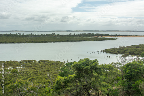 The view of the Rhyll Inlet wetlands and mangroves on Phillip Island, Victoria, Australia © Nigar