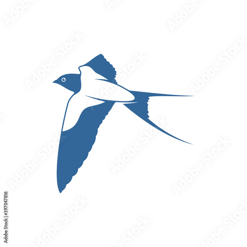 Swallow logo vector template, Creative swallow logo design concepts, icon symbol, illustration