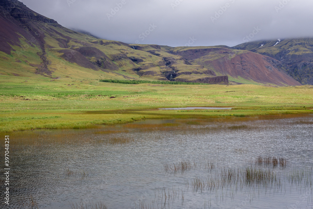 Wetlands in Hoffell area in southeastern Iceland