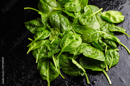 Spinach fresh green leaves with water drops