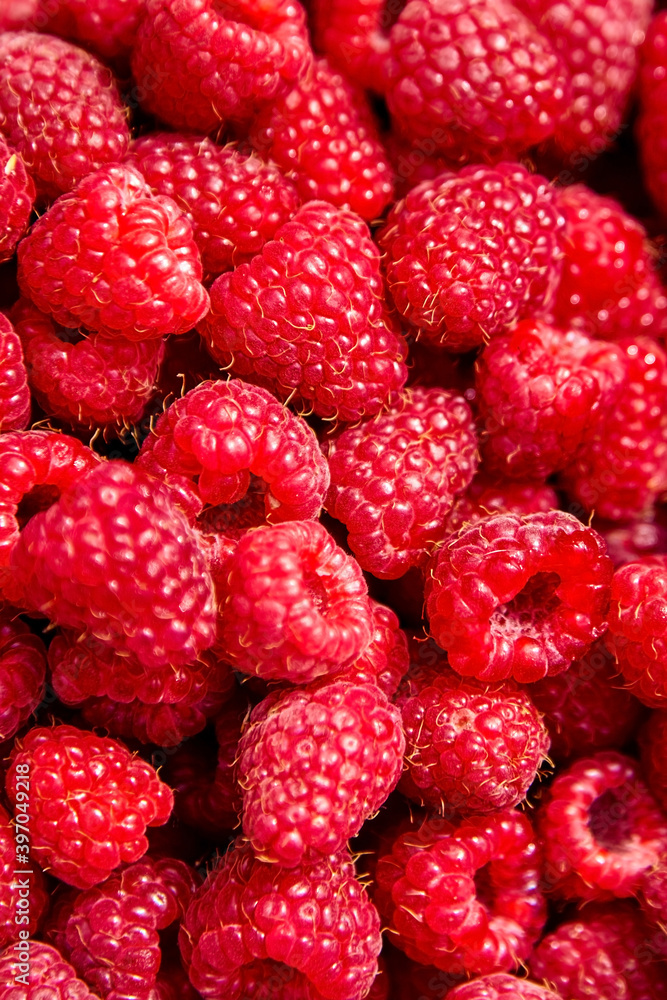 Fresh raspberries, heap of red ripe summer berries Fresh raspberries, heap of red ripe summer berries