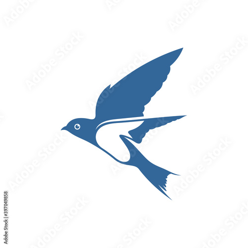 Swallow logo vector template  Creative swallow logo design concepts  icon symbol  illustration