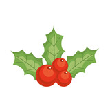 merry christmas berries with leaves vector design