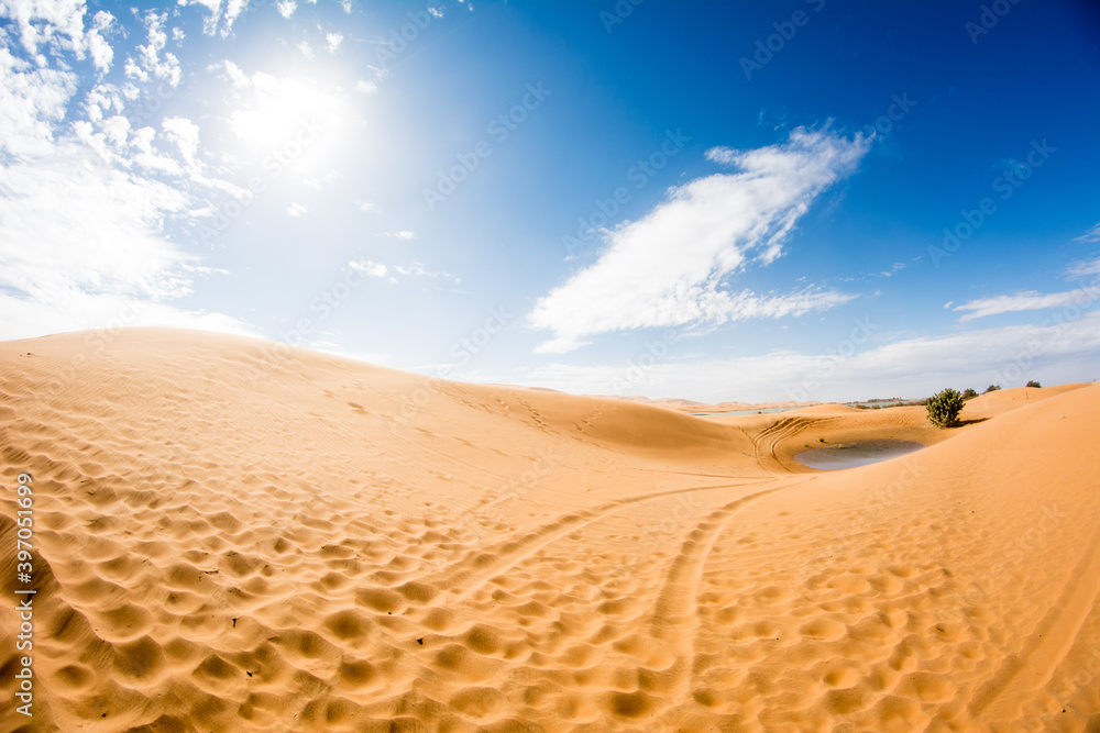 Naklejka premium sand dunes in the desert