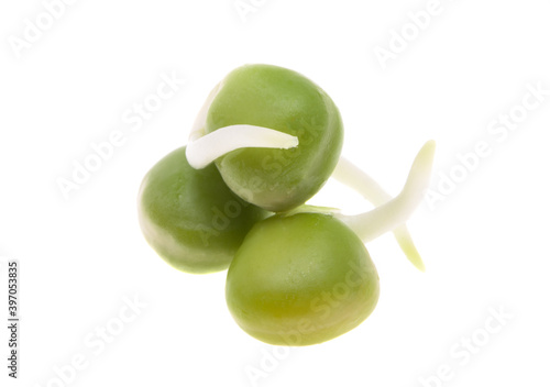 Wallpaper Mural sprouted peas isolated Torontodigital.ca