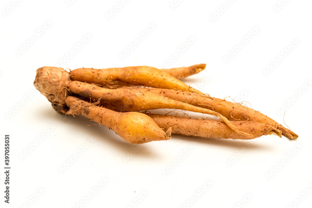 Close up of fingerroot Thai herb. Krachai ,Chinese's Ginger Close up of fingerroot Thai herb. Krachai ,Chinese's Ginger