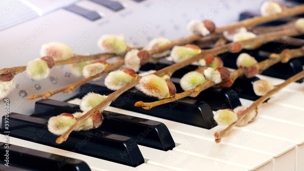 Willow branch with cattails on piano keys Willow branch with cattails on piano keys